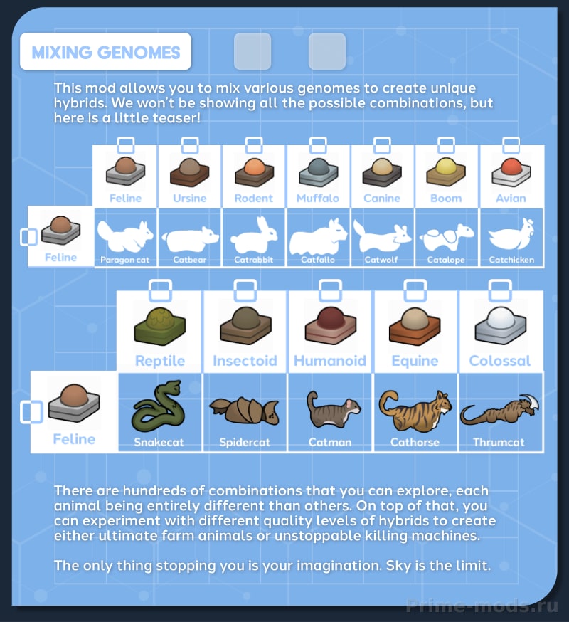 Vanilla Genetics Expanded — 24