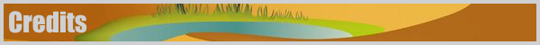 Biomes! Oasis — 2