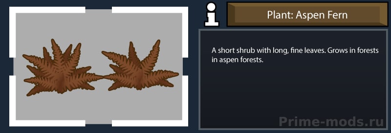 ReGrowth 2: Aspen — 8