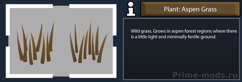 ReGrowth 2: Aspen — 7