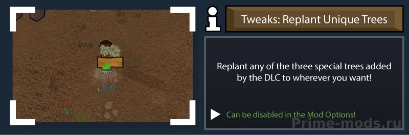 ReGrowth 2 — 21