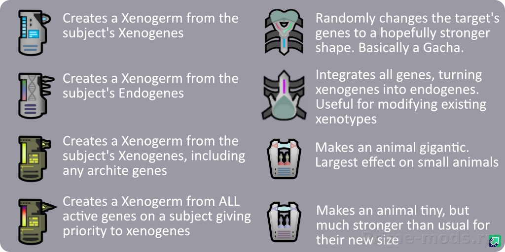 Big and Small - Genes & More — 5