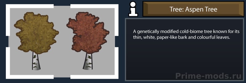 ReGrowth 2: Aspen — 13