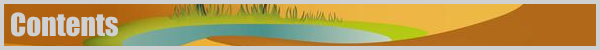 Biomes! Oasis — 1