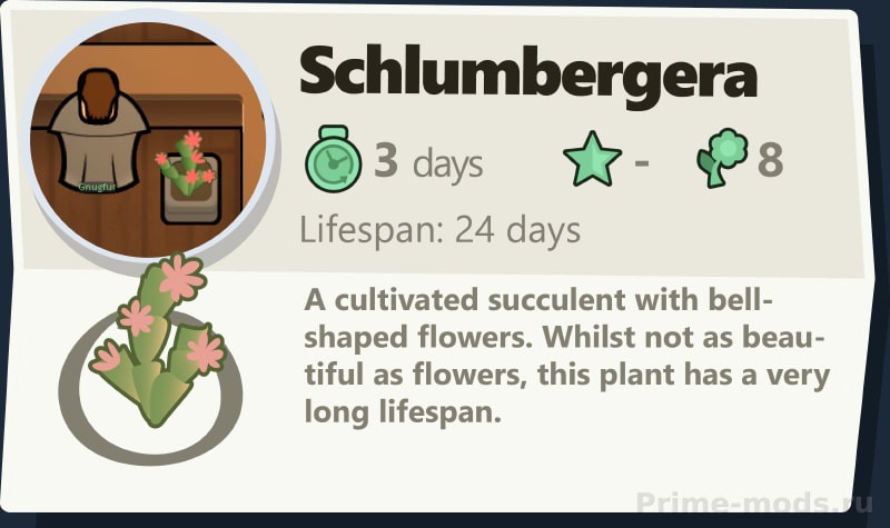 Vanilla Plants Expanded - Succulents — 14