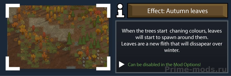 ReGrowth 2 — 18