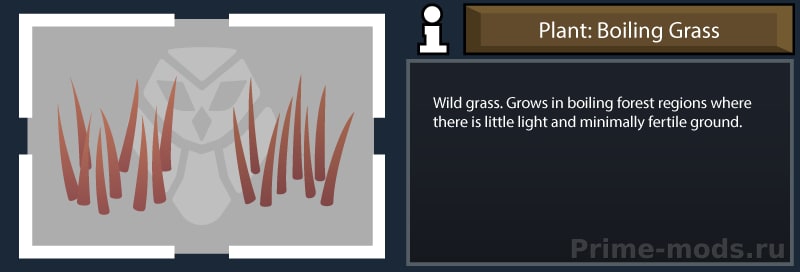 ReGrowth: Boiling — 7