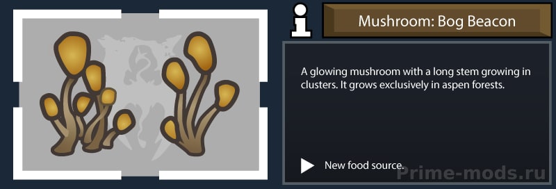 ReGrowth 2: Aspen — 12