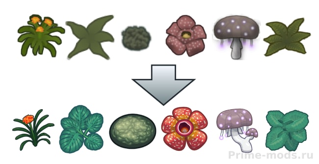 Roidgy's Alt Flora — 4