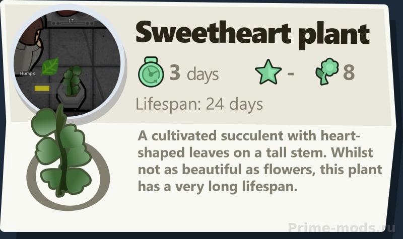 Vanilla Plants Expanded - Succulents — 16