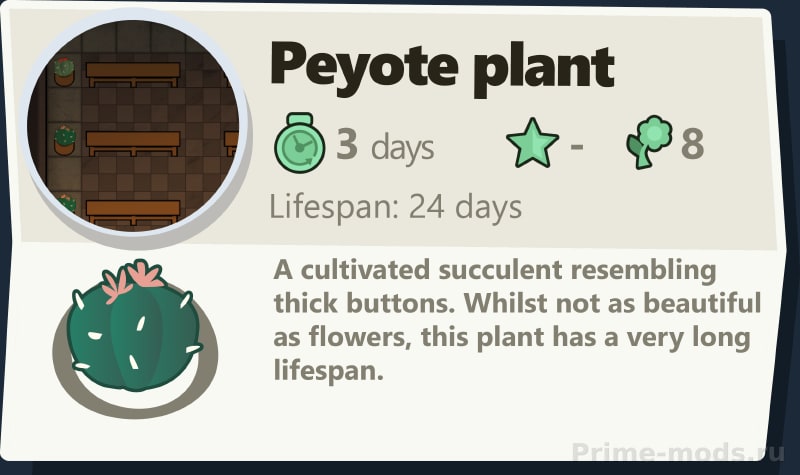 Vanilla Plants Expanded - Succulents — 12