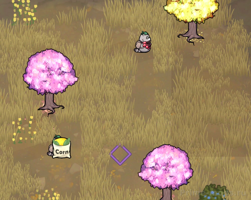 Yuran race — 2