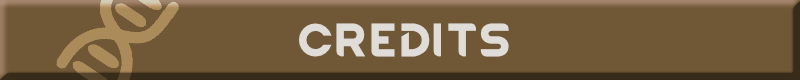 Dragon Genetics — 2