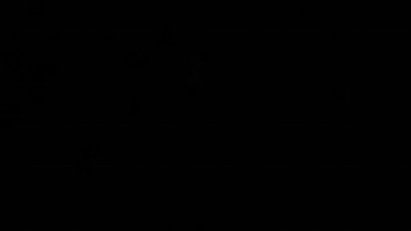 Revia Race - Biotech — 1