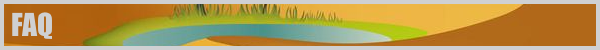 Biomes! Oasis — 3
