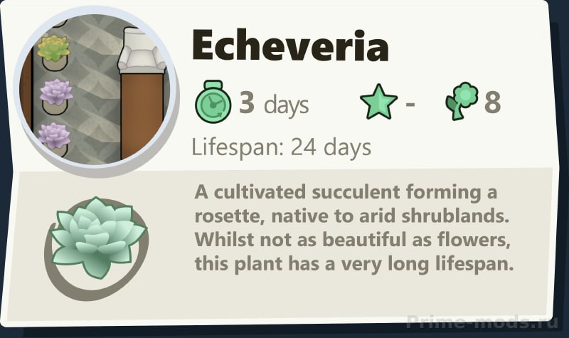 Vanilla Plants Expanded - Succulents — 9