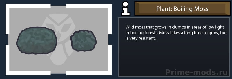ReGrowth: Boiling — 8
