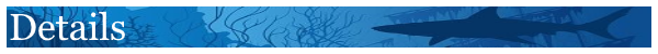 Biomes! Core — 1