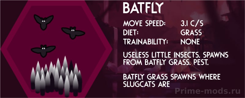 RainWorld — 8