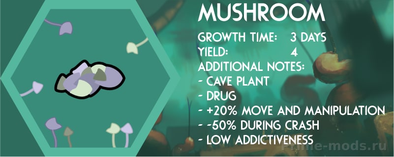 RainWorld — 17