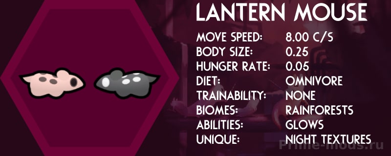 RainWorld — 7