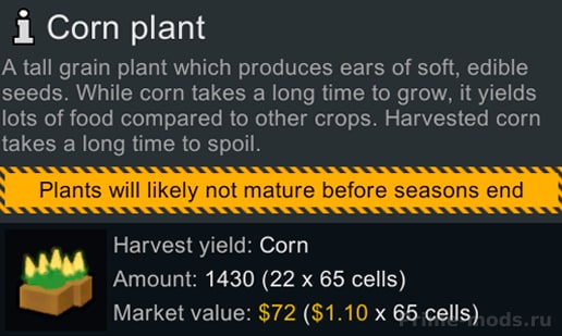 Nice Plants Menu — 2