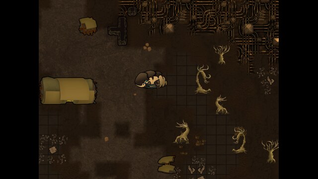 Alpha Biomes — 10