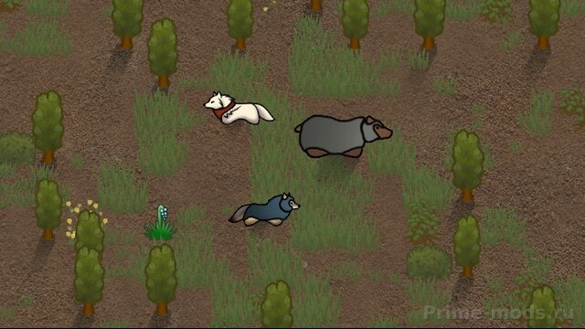 Animal Gear — 1