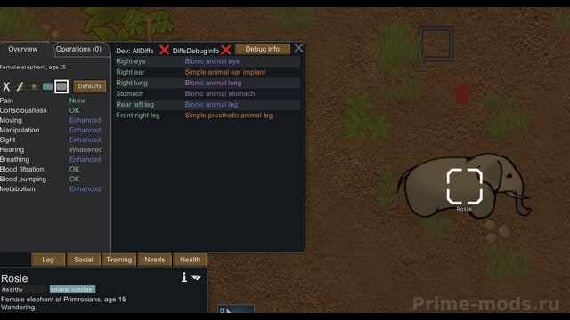 [OLD VERSION] A Dog Said... Animal Prosthetics — 1